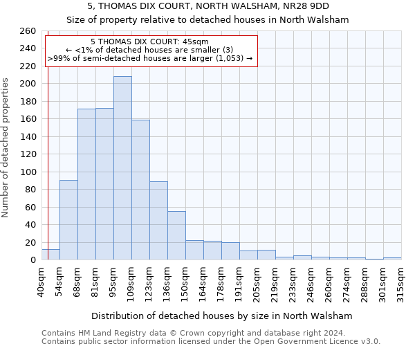 5, THOMAS DIX COURT, NORTH WALSHAM, NR28 9DD: Size of property relative to detached houses in North Walsham