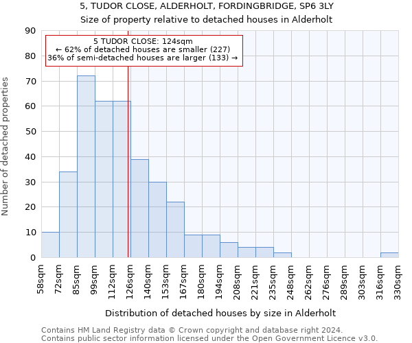 5, TUDOR CLOSE, ALDERHOLT, FORDINGBRIDGE, SP6 3LY: Size of property relative to detached houses in Alderholt