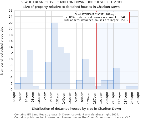 5, WHITEBEAM CLOSE, CHARLTON DOWN, DORCHESTER, DT2 9XT: Size of property relative to detached houses in Charlton Down