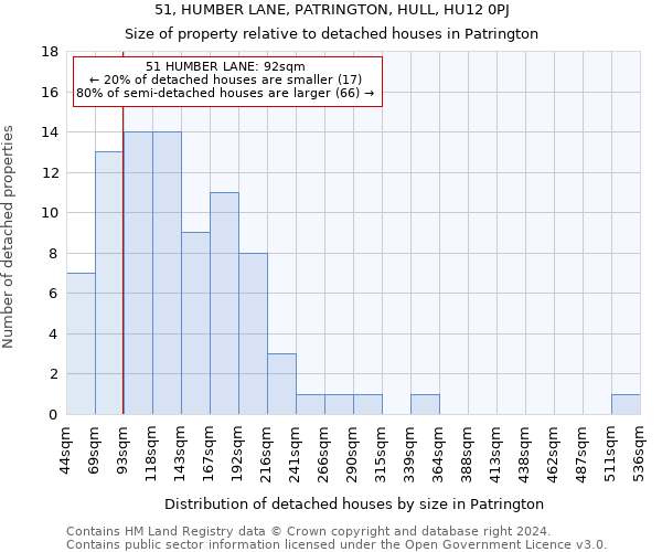 51, HUMBER LANE, PATRINGTON, HULL, HU12 0PJ: Size of property relative to detached houses in Patrington