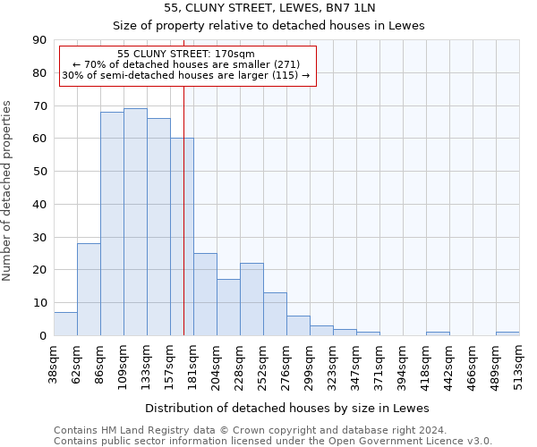 55, CLUNY STREET, LEWES, BN7 1LN: Size of property relative to detached houses in Lewes