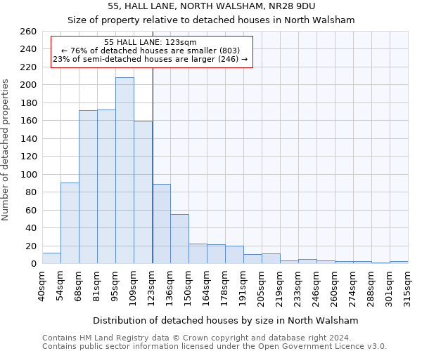 55, HALL LANE, NORTH WALSHAM, NR28 9DU: Size of property relative to detached houses in North Walsham