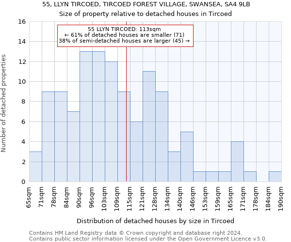 55, LLYN TIRCOED, TIRCOED FOREST VILLAGE, SWANSEA, SA4 9LB: Size of property relative to detached houses in Tircoed