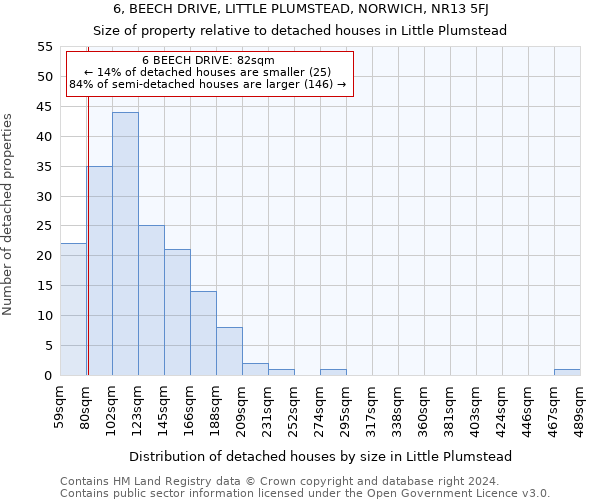 6, BEECH DRIVE, LITTLE PLUMSTEAD, NORWICH, NR13 5FJ: Size of property relative to detached houses in Little Plumstead