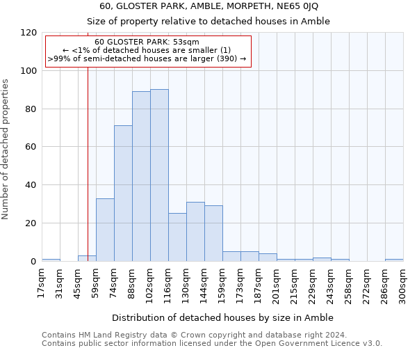 60, GLOSTER PARK, AMBLE, MORPETH, NE65 0JQ: Size of property relative to detached houses in Amble