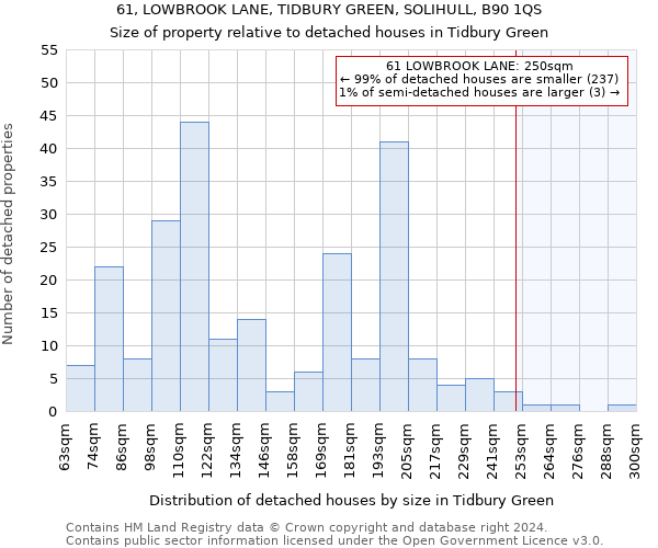 61, LOWBROOK LANE, TIDBURY GREEN, SOLIHULL, B90 1QS: Size of property relative to detached houses in Tidbury Green