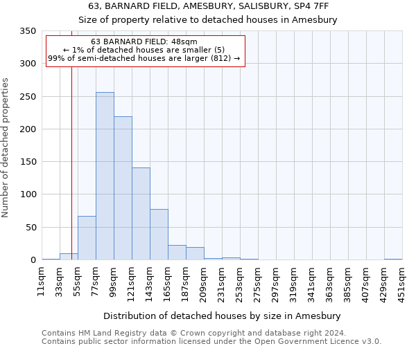 63, BARNARD FIELD, AMESBURY, SALISBURY, SP4 7FF: Size of property relative to detached houses in Amesbury