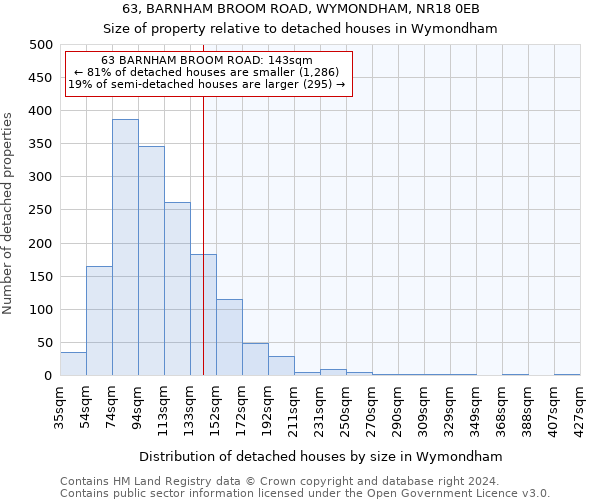 63, BARNHAM BROOM ROAD, WYMONDHAM, NR18 0EB: Size of property relative to detached houses in Wymondham
