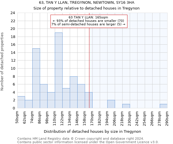 63, TAN Y LLAN, TREGYNON, NEWTOWN, SY16 3HA: Size of property relative to detached houses in Tregynon