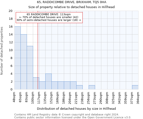 65, RADDICOMBE DRIVE, BRIXHAM, TQ5 0HA: Size of property relative to detached houses in Hillhead