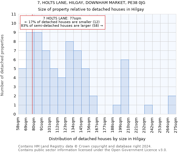 7, HOLTS LANE, HILGAY, DOWNHAM MARKET, PE38 0JG: Size of property relative to detached houses in Hilgay