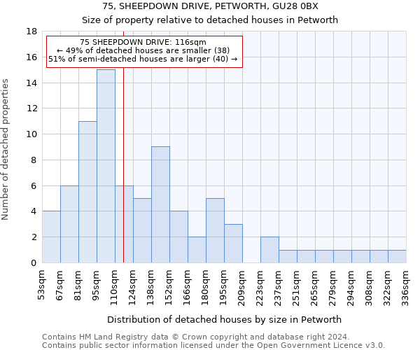 75, SHEEPDOWN DRIVE, PETWORTH, GU28 0BX: Size of property relative to detached houses in Petworth