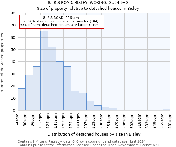 8, IRIS ROAD, BISLEY, WOKING, GU24 9HG: Size of property relative to detached houses in Bisley