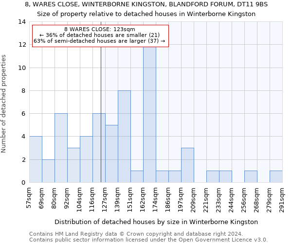 8, WARES CLOSE, WINTERBORNE KINGSTON, BLANDFORD FORUM, DT11 9BS: Size of property relative to detached houses in Winterborne Kingston