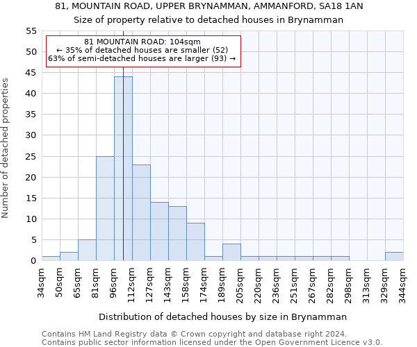 81, MOUNTAIN ROAD, UPPER BRYNAMMAN, AMMANFORD, SA18 1AN: Size of property relative to detached houses in Brynamman