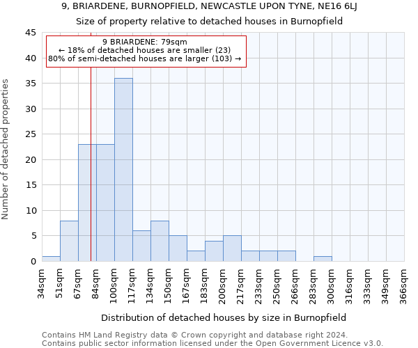 9, BRIARDENE, BURNOPFIELD, NEWCASTLE UPON TYNE, NE16 6LJ: Size of property relative to detached houses in Burnopfield