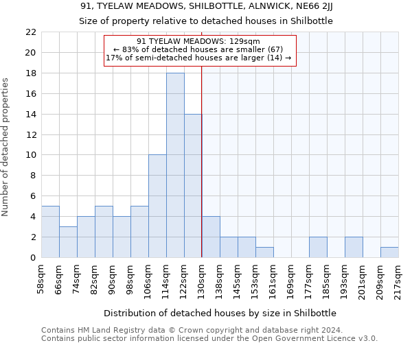 91, TYELAW MEADOWS, SHILBOTTLE, ALNWICK, NE66 2JJ: Size of property relative to detached houses in Shilbottle