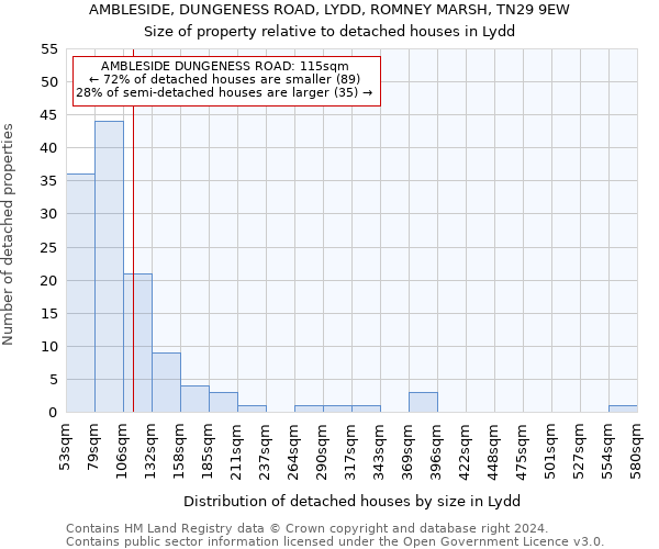 AMBLESIDE, DUNGENESS ROAD, LYDD, ROMNEY MARSH, TN29 9EW: Size of property relative to detached houses in Lydd