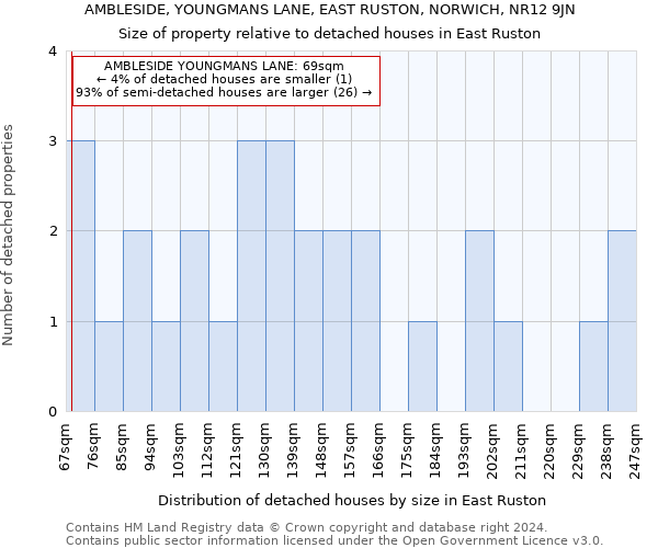 AMBLESIDE, YOUNGMANS LANE, EAST RUSTON, NORWICH, NR12 9JN: Size of property relative to detached houses in East Ruston