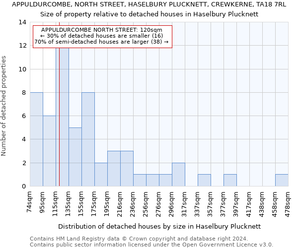 APPULDURCOMBE, NORTH STREET, HASELBURY PLUCKNETT, CREWKERNE, TA18 7RL: Size of property relative to detached houses in Haselbury Plucknett