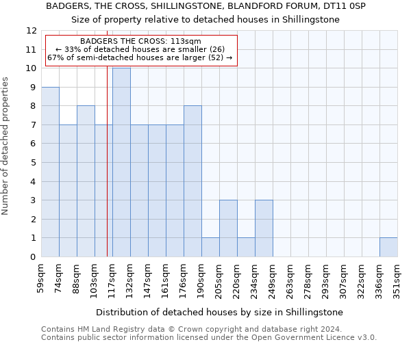 BADGERS, THE CROSS, SHILLINGSTONE, BLANDFORD FORUM, DT11 0SP: Size of property relative to detached houses in Shillingstone