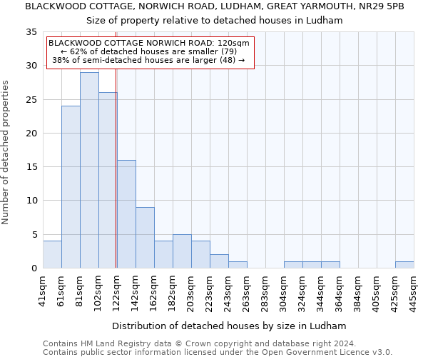 BLACKWOOD COTTAGE, NORWICH ROAD, LUDHAM, GREAT YARMOUTH, NR29 5PB: Size of property relative to detached houses in Ludham