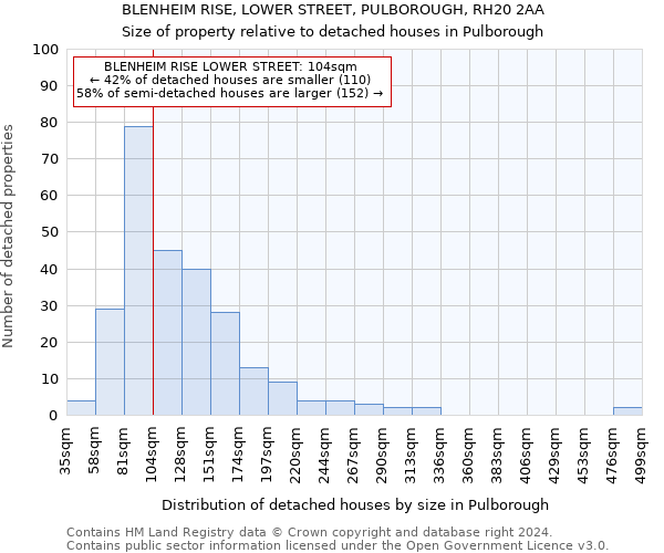 BLENHEIM RISE, LOWER STREET, PULBOROUGH, RH20 2AA: Size of property relative to detached houses in Pulborough
