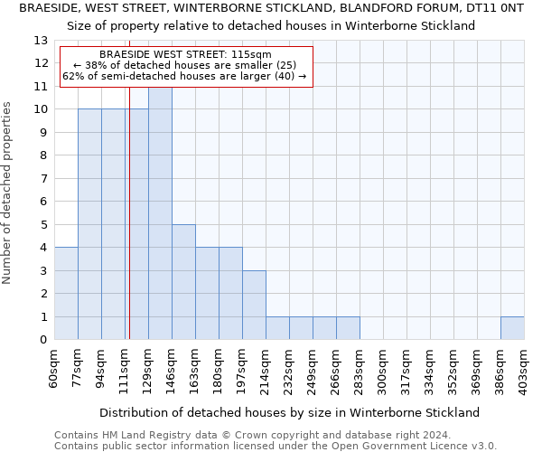 BRAESIDE, WEST STREET, WINTERBORNE STICKLAND, BLANDFORD FORUM, DT11 0NT: Size of property relative to detached houses in Winterborne Stickland