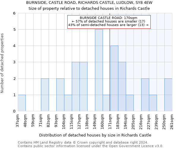 BURNSIDE, CASTLE ROAD, RICHARDS CASTLE, LUDLOW, SY8 4EW: Size of property relative to detached houses in Richards Castle