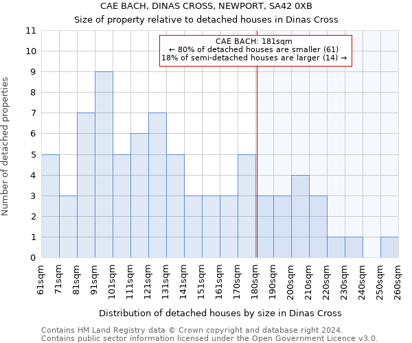 CAE BACH, DINAS CROSS, NEWPORT, SA42 0XB: Size of property relative to detached houses in Dinas Cross