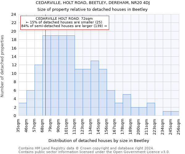 CEDARVILLE, HOLT ROAD, BEETLEY, DEREHAM, NR20 4DJ: Size of property relative to detached houses in Beetley