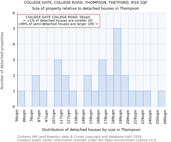 COLLEGE GATE, COLLEGE ROAD, THOMPSON, THETFORD, IP24 1QF: Size of property relative to detached houses in Thompson