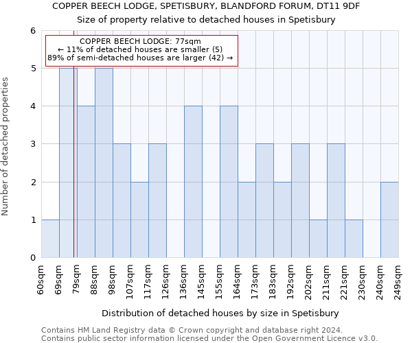 COPPER BEECH LODGE, SPETISBURY, BLANDFORD FORUM, DT11 9DF: Size of property relative to detached houses in Spetisbury