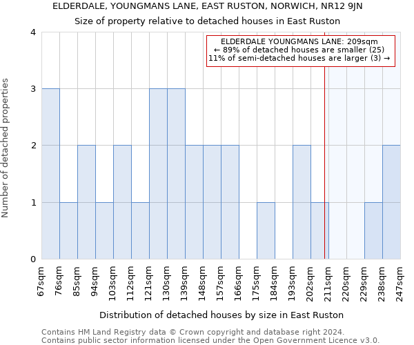 ELDERDALE, YOUNGMANS LANE, EAST RUSTON, NORWICH, NR12 9JN: Size of property relative to detached houses in East Ruston
