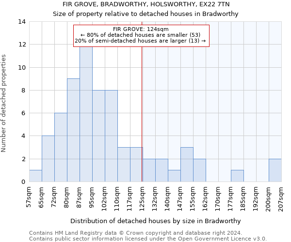 FIR GROVE, BRADWORTHY, HOLSWORTHY, EX22 7TN: Size of property relative to detached houses in Bradworthy