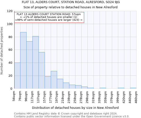 FLAT 13, ALDERS COURT, STATION ROAD, ALRESFORD, SO24 9JG: Size of property relative to detached houses in New Alresford