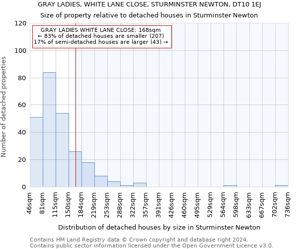 GRAY LADIES, WHITE LANE CLOSE, STURMINSTER NEWTON, DT10 1EJ: Size of property relative to detached houses in Sturminster Newton