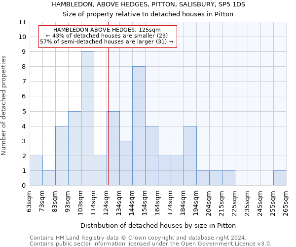HAMBLEDON, ABOVE HEDGES, PITTON, SALISBURY, SP5 1DS: Size of property relative to detached houses in Pitton