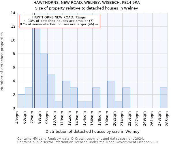 HAWTHORNS, NEW ROAD, WELNEY, WISBECH, PE14 9RA: Size of property relative to detached houses in Welney