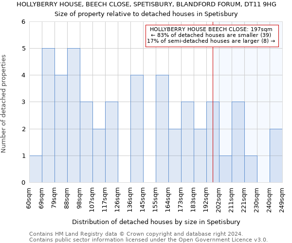 HOLLYBERRY HOUSE, BEECH CLOSE, SPETISBURY, BLANDFORD FORUM, DT11 9HG: Size of property relative to detached houses in Spetisbury