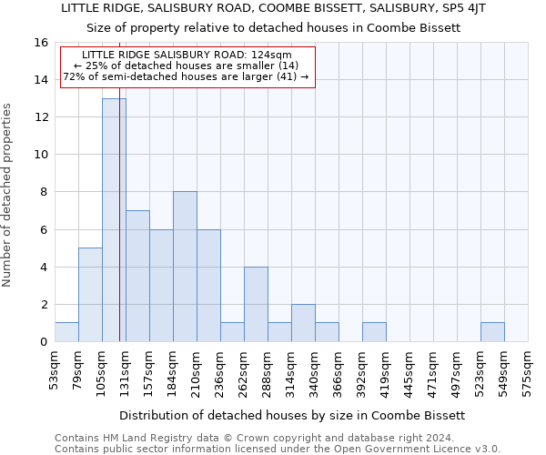 LITTLE RIDGE, SALISBURY ROAD, COOMBE BISSETT, SALISBURY, SP5 4JT: Size of property relative to detached houses in Coombe Bissett