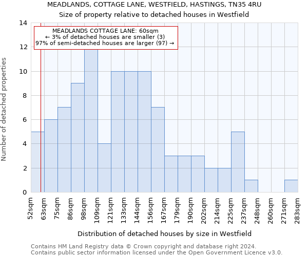 MEADLANDS, COTTAGE LANE, WESTFIELD, HASTINGS, TN35 4RU: Size of property relative to detached houses in Westfield