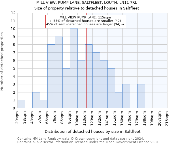 MILL VIEW, PUMP LANE, SALTFLEET, LOUTH, LN11 7RL: Size of property relative to detached houses in Saltfleet
