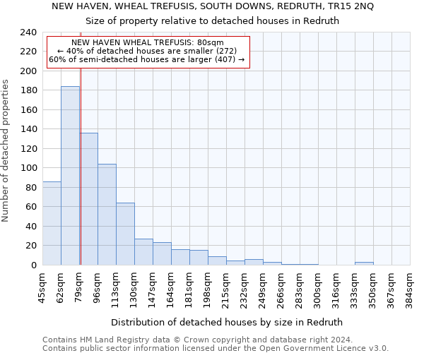 NEW HAVEN, WHEAL TREFUSIS, SOUTH DOWNS, REDRUTH, TR15 2NQ: Size of property relative to detached houses in Redruth