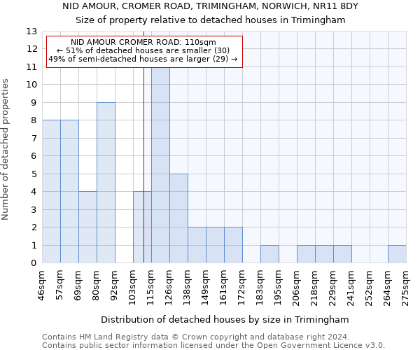 NID AMOUR, CROMER ROAD, TRIMINGHAM, NORWICH, NR11 8DY: Size of property relative to detached houses in Trimingham
