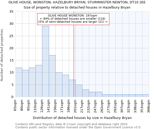 OLIVE HOUSE, WONSTON, HAZELBURY BRYAN, STURMINSTER NEWTON, DT10 2EE: Size of property relative to detached houses in Hazelbury Bryan