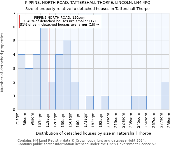 PIPPINS, NORTH ROAD, TATTERSHALL THORPE, LINCOLN, LN4 4PQ: Size of property relative to detached houses in Tattershall Thorpe