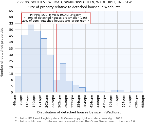 PIPPINS, SOUTH VIEW ROAD, SPARROWS GREEN, WADHURST, TN5 6TW: Size of property relative to detached houses in Wadhurst