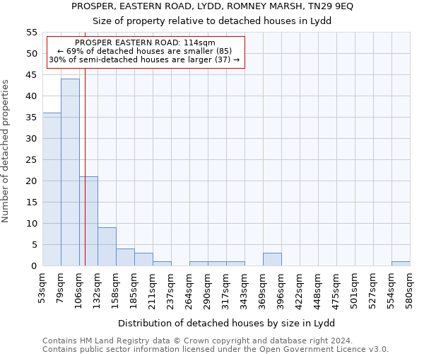 PROSPER, EASTERN ROAD, LYDD, ROMNEY MARSH, TN29 9EQ: Size of property relative to detached houses in Lydd