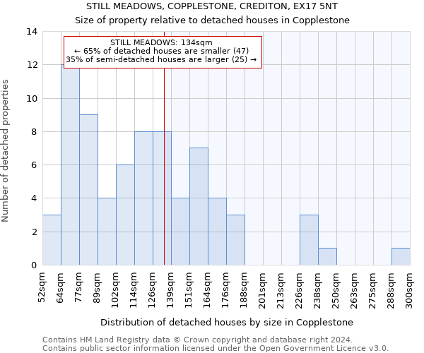 STILL MEADOWS, COPPLESTONE, CREDITON, EX17 5NT: Size of property relative to detached houses in Copplestone